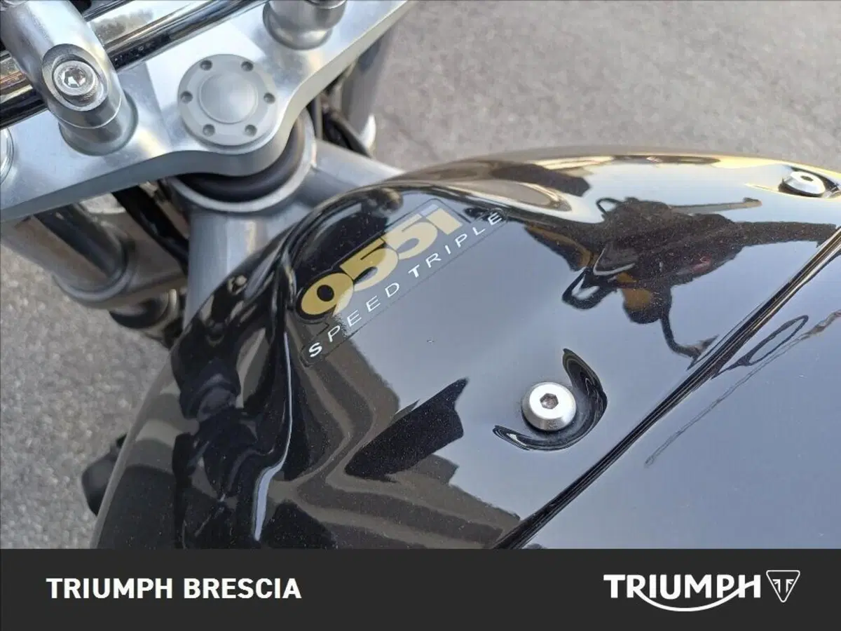 Triumph Speed Triple 1000 (1999 - 02) (9)