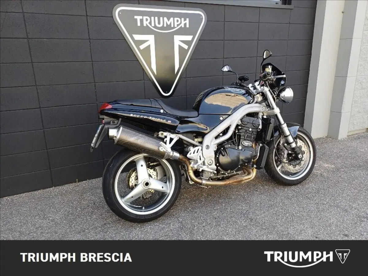 Triumph Speed Triple 1000 (1999 - 02) (3)