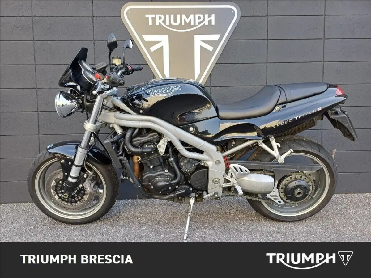 Triumph Speed Triple 1000 (1999 - 02) (10)