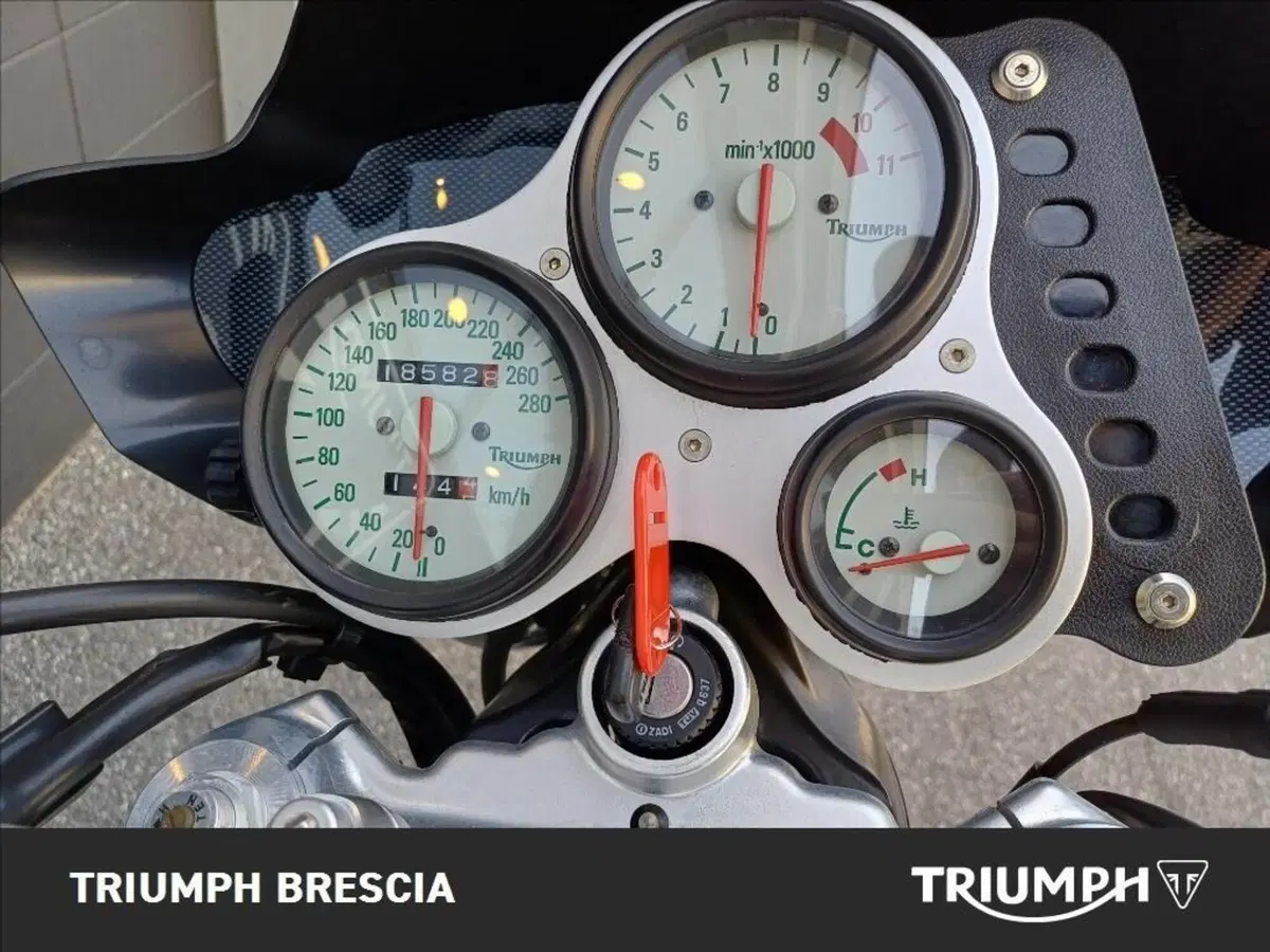 Triumph Speed Triple 1000 (1999 - 02) (8)