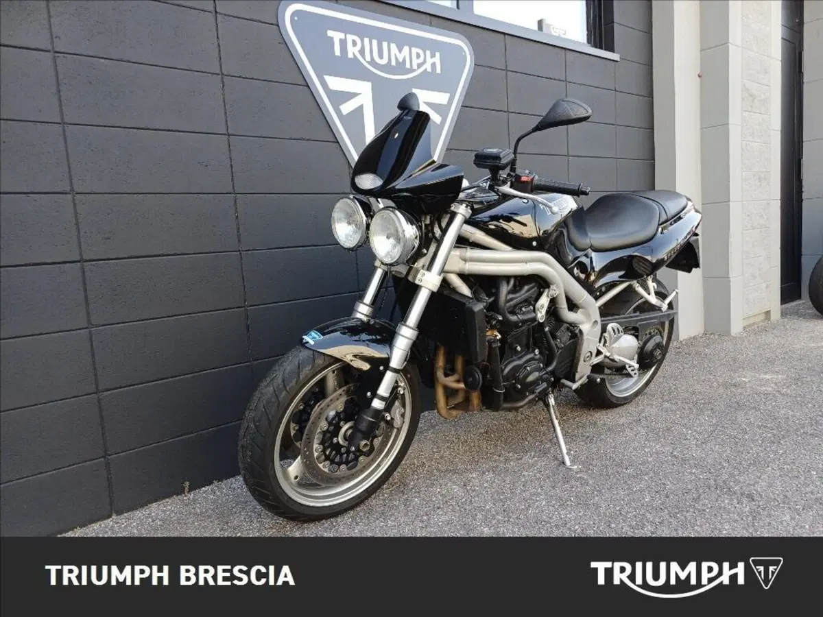 Triumph Speed Triple 1000 (1999 - 02) (11)