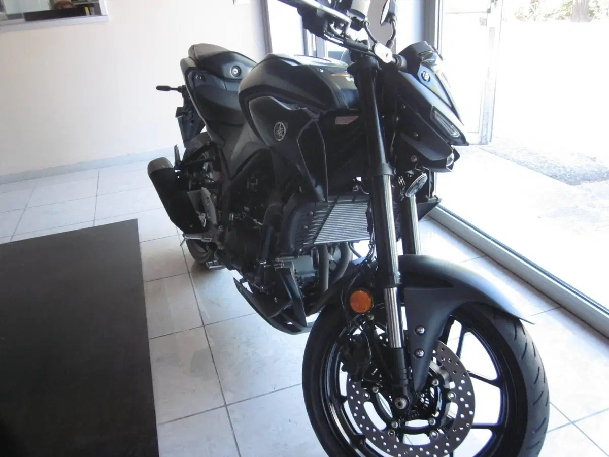 Yamaha MT-03 (2025 - 26)