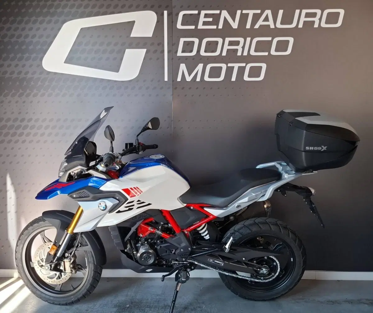 Bmw G 310 GS (2021 - 25) (2)
