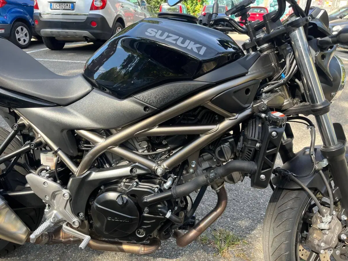 Suzuki SV650 (2021 - 24) (2)