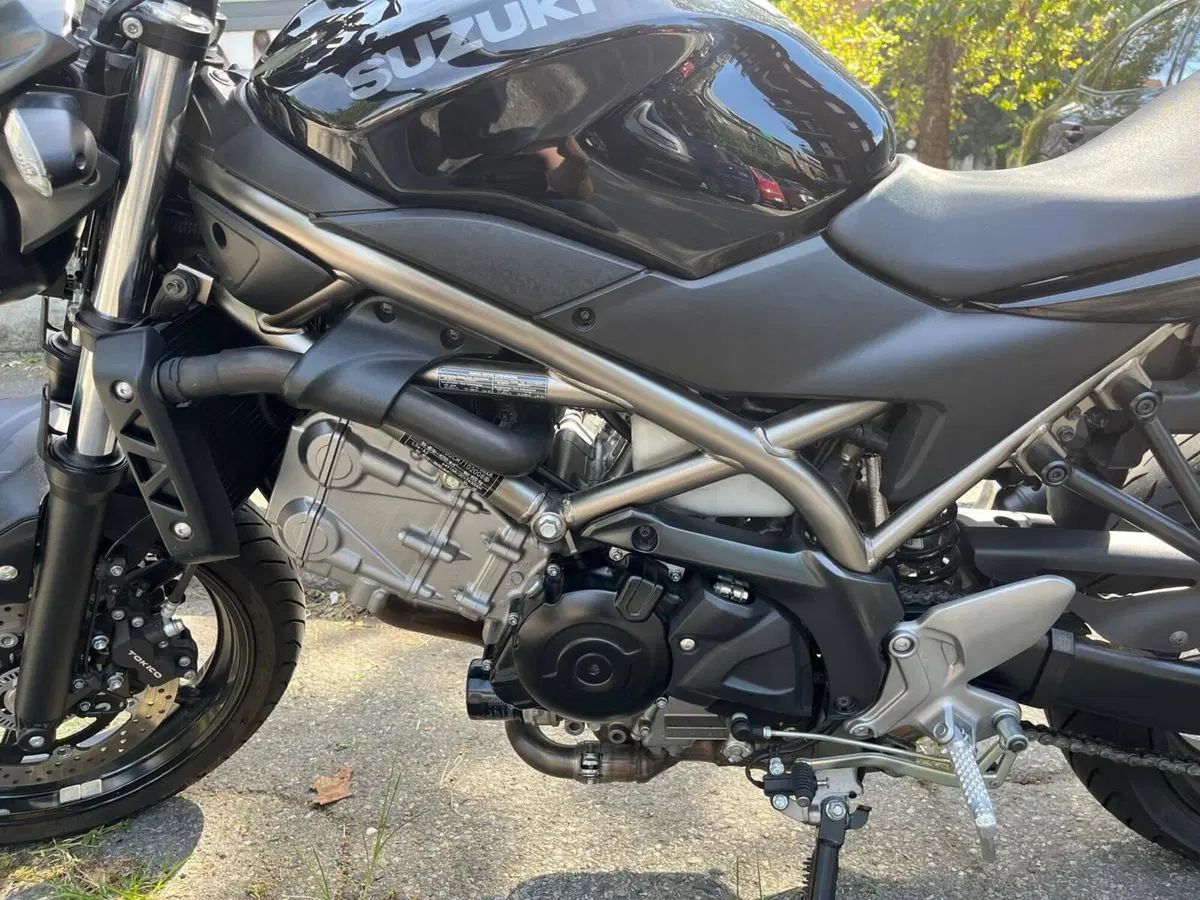 Suzuki SV650 (2021 - 24) (7)