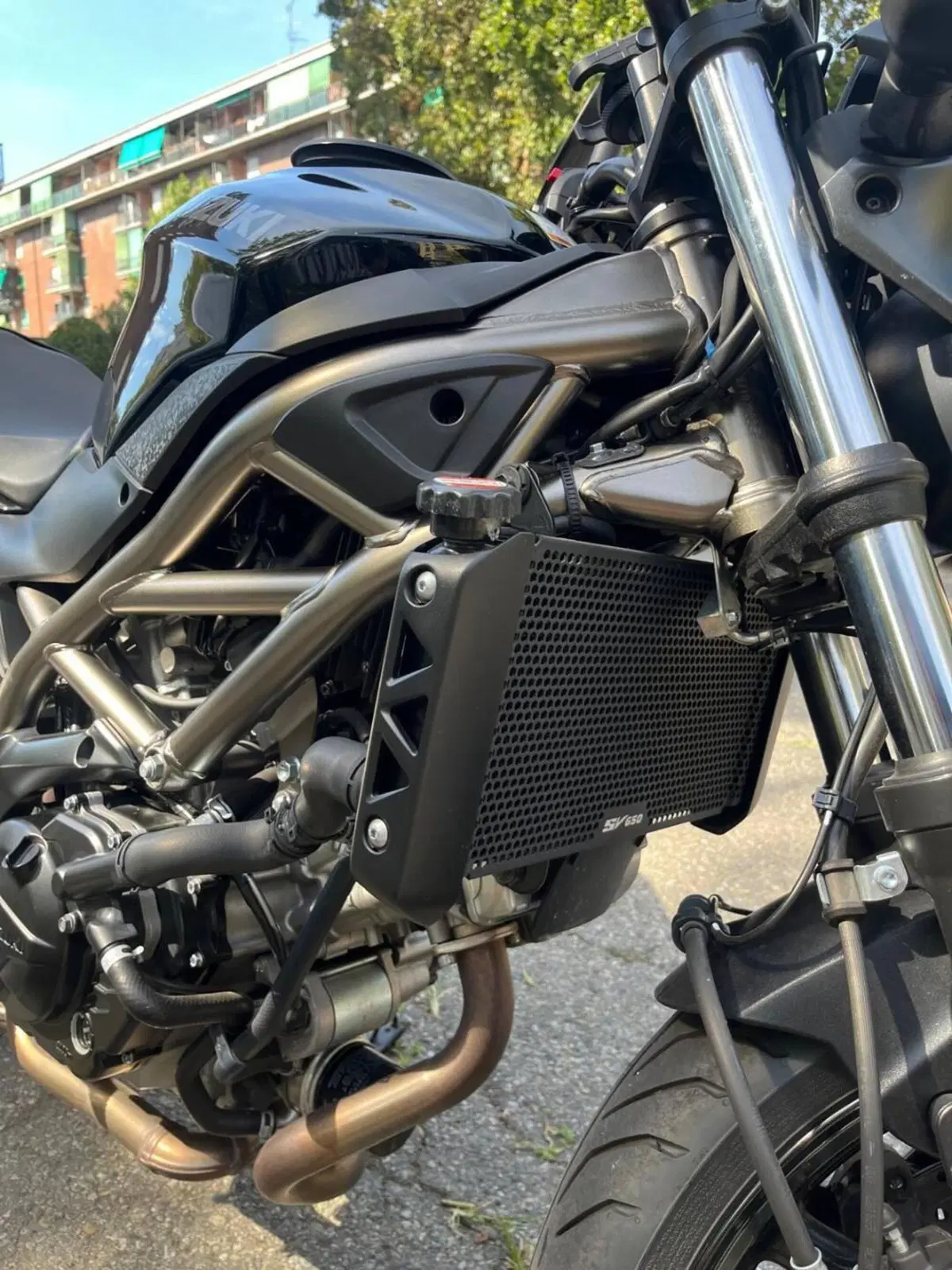 Suzuki SV650 (2021 - 24) (12)