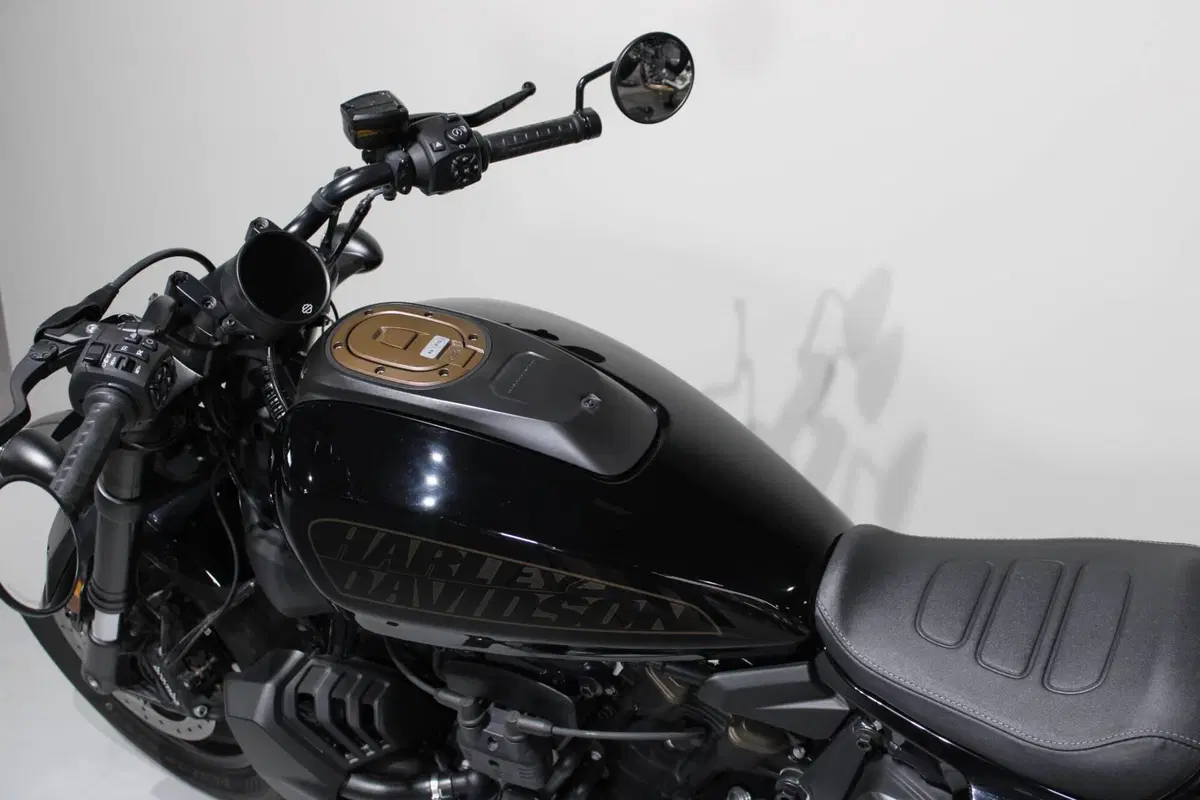 Harley-Davidson Sportster S (2022 - 24) (5)