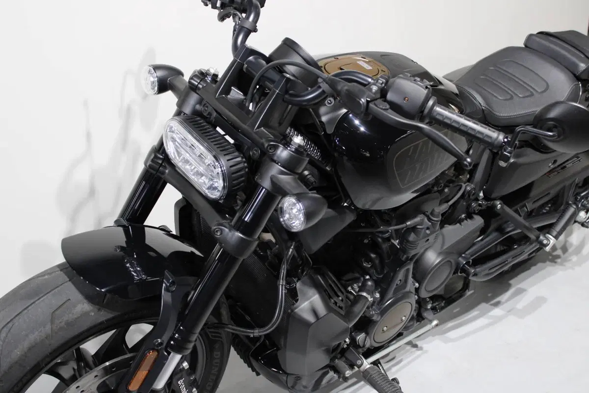 Harley-Davidson Sportster S (2022 - 24) (8)