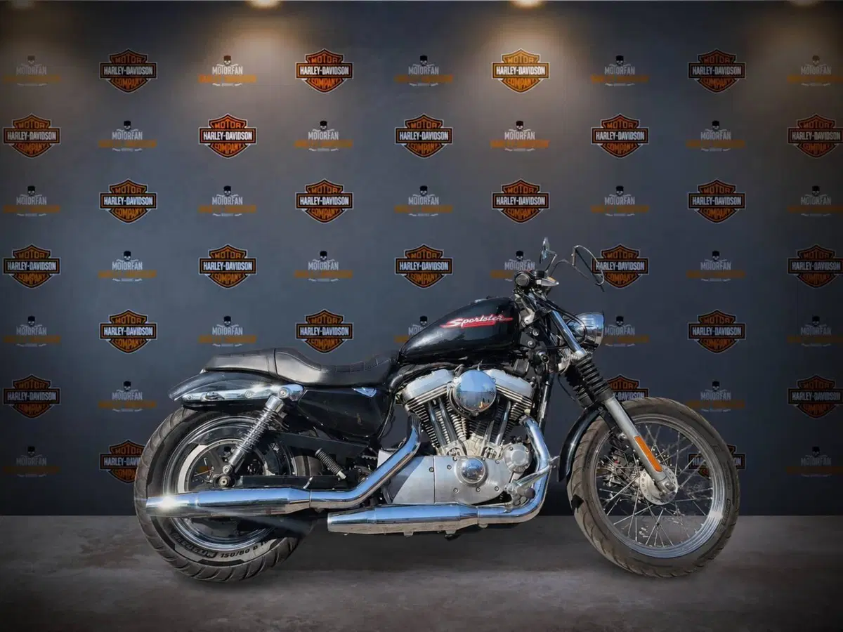 Harley-Davidson 883 Standard (2001 - 05) - XL 883 (2)