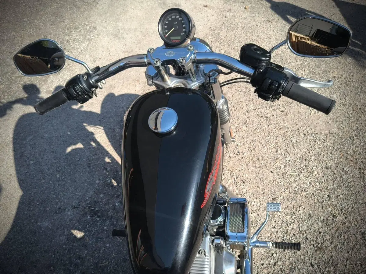 Harley-Davidson 883 Standard (2001 - 05) - XL 883 (4)