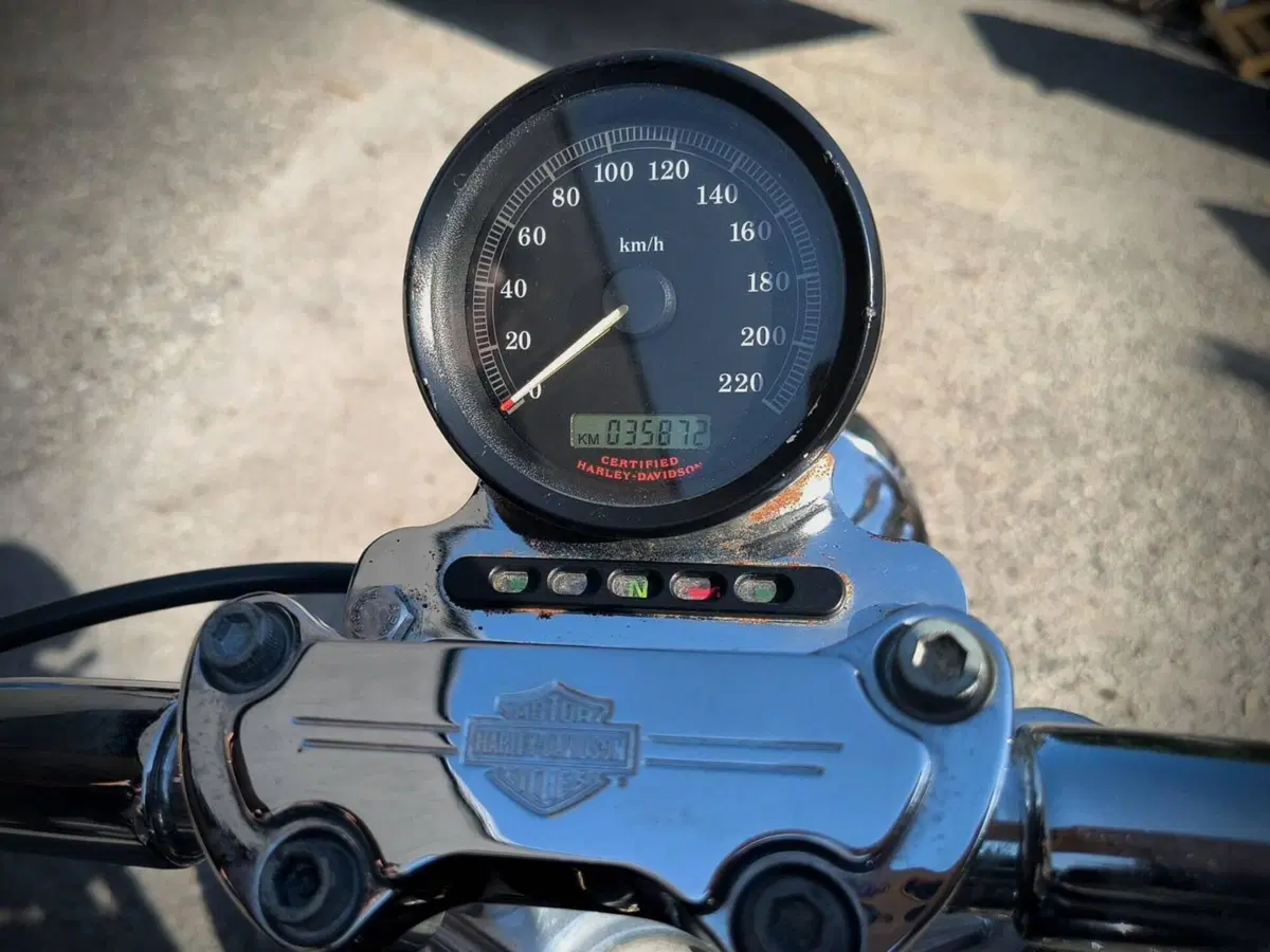 Harley-Davidson 883 Standard (2001 - 05) - XL 883 (3)