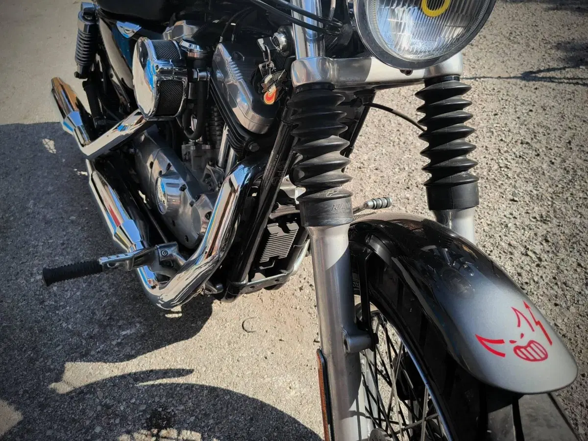 Harley-Davidson 883 Standard (2001 - 05) - XL 883 (5)