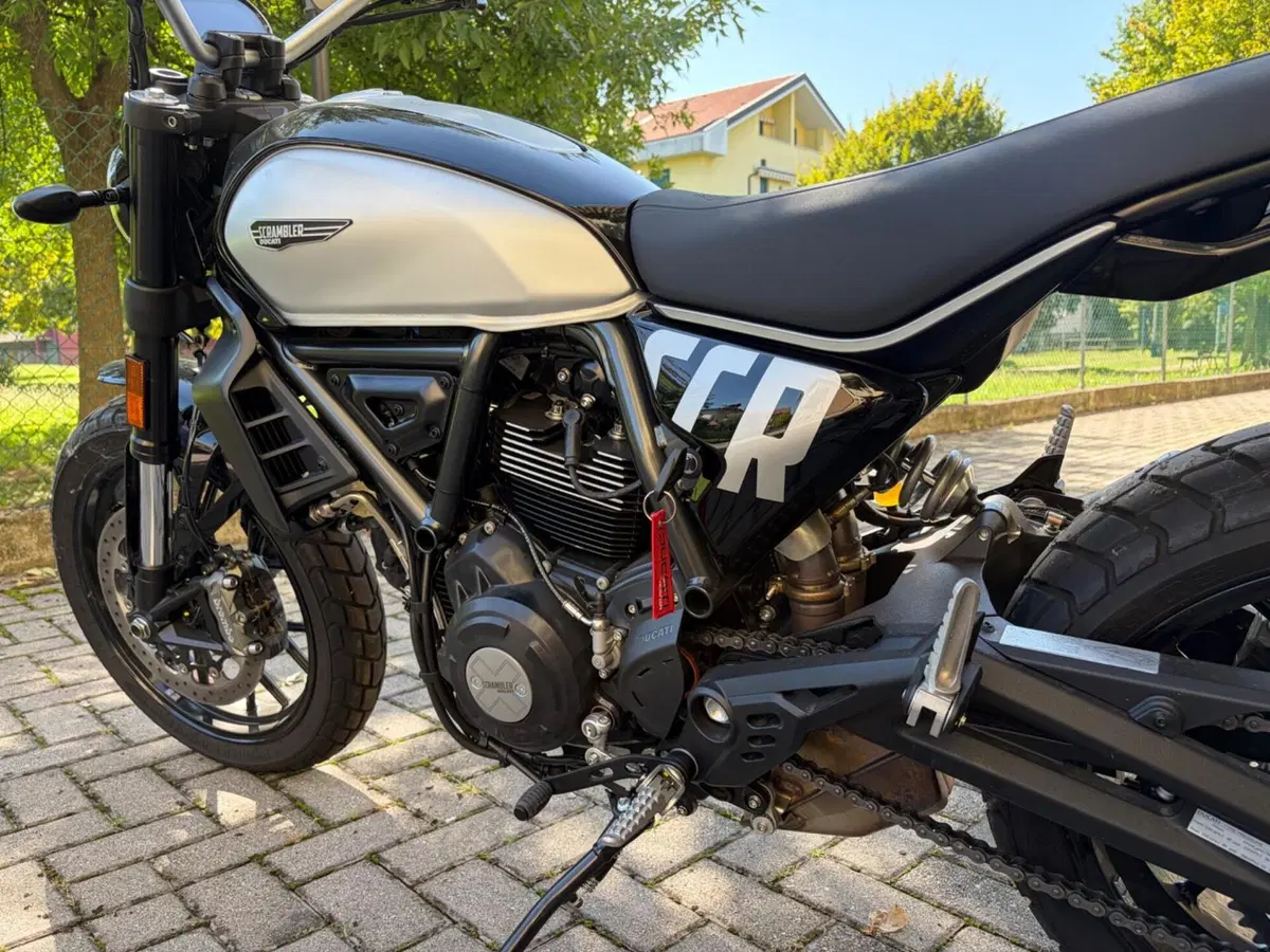 Ducati Scrambler 800 Icon (2023 - 24) (4)