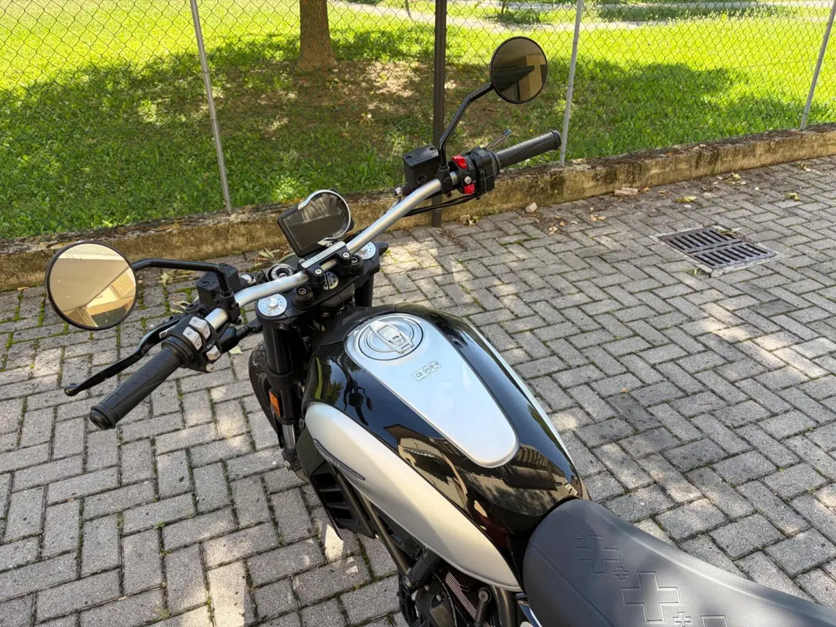 Ducati Scrambler 800 Icon (2023 - 24) (7)