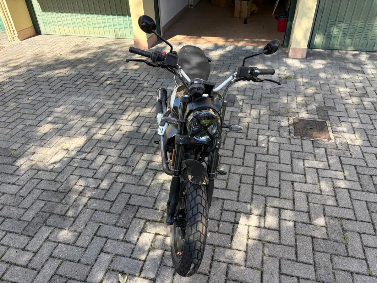 Ducati Scrambler 800 Icon (2023 - 24) (8)