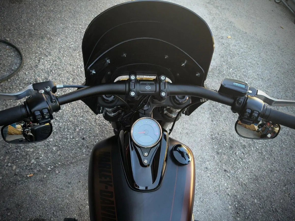 Harley-Davidson 114 Fat Bob (2018 - 20) - FXFBS (6)