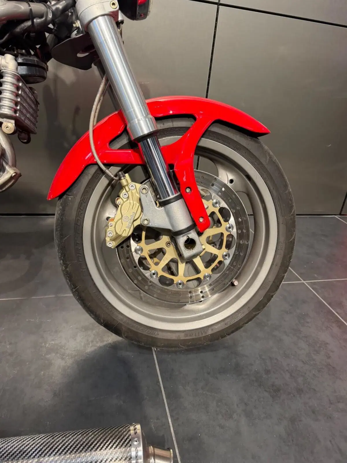 Ducati Monster 1000 DS (2003 - 05) (12)