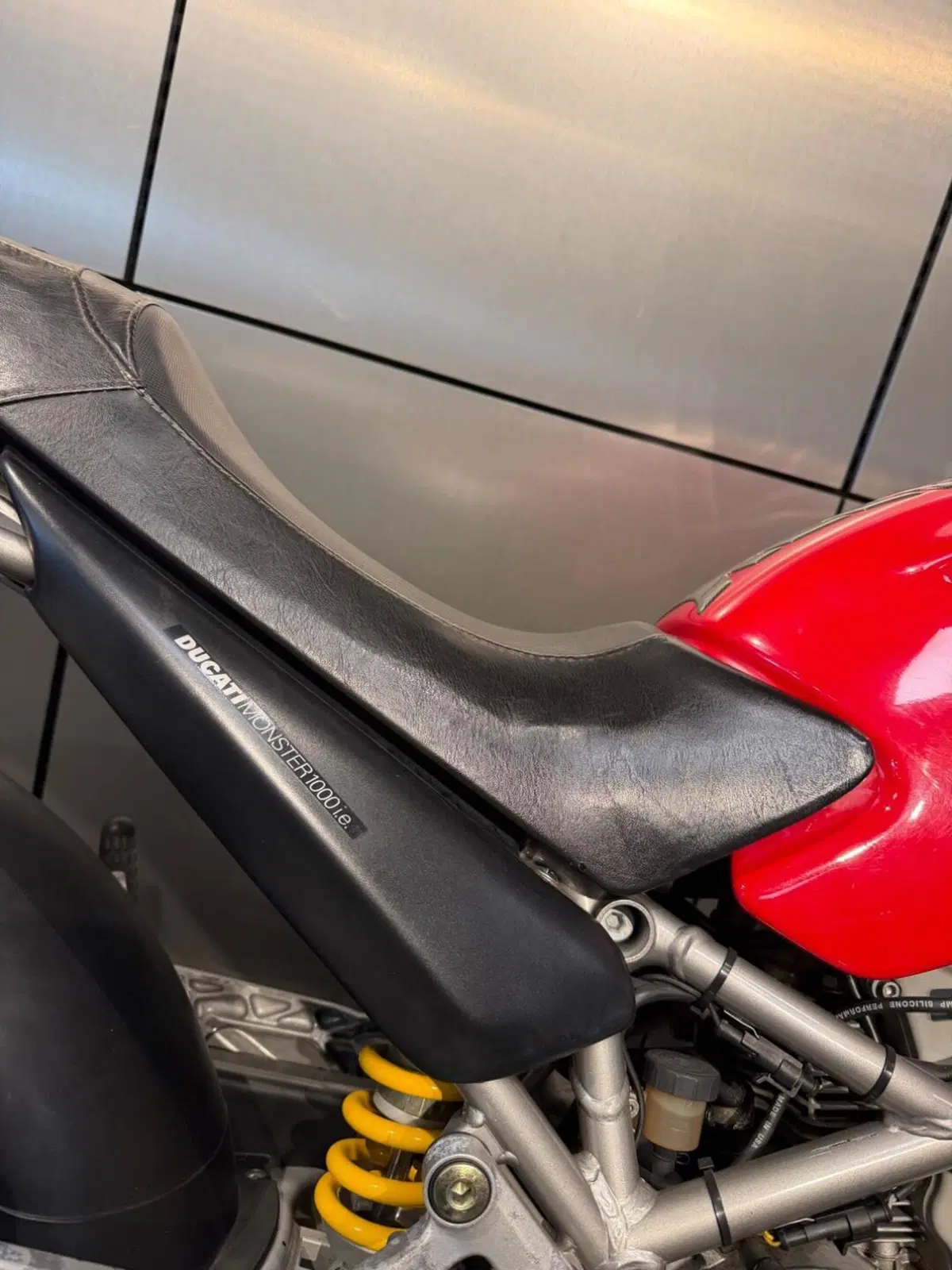 Ducati Monster 1000 DS (2003 - 05) (13)