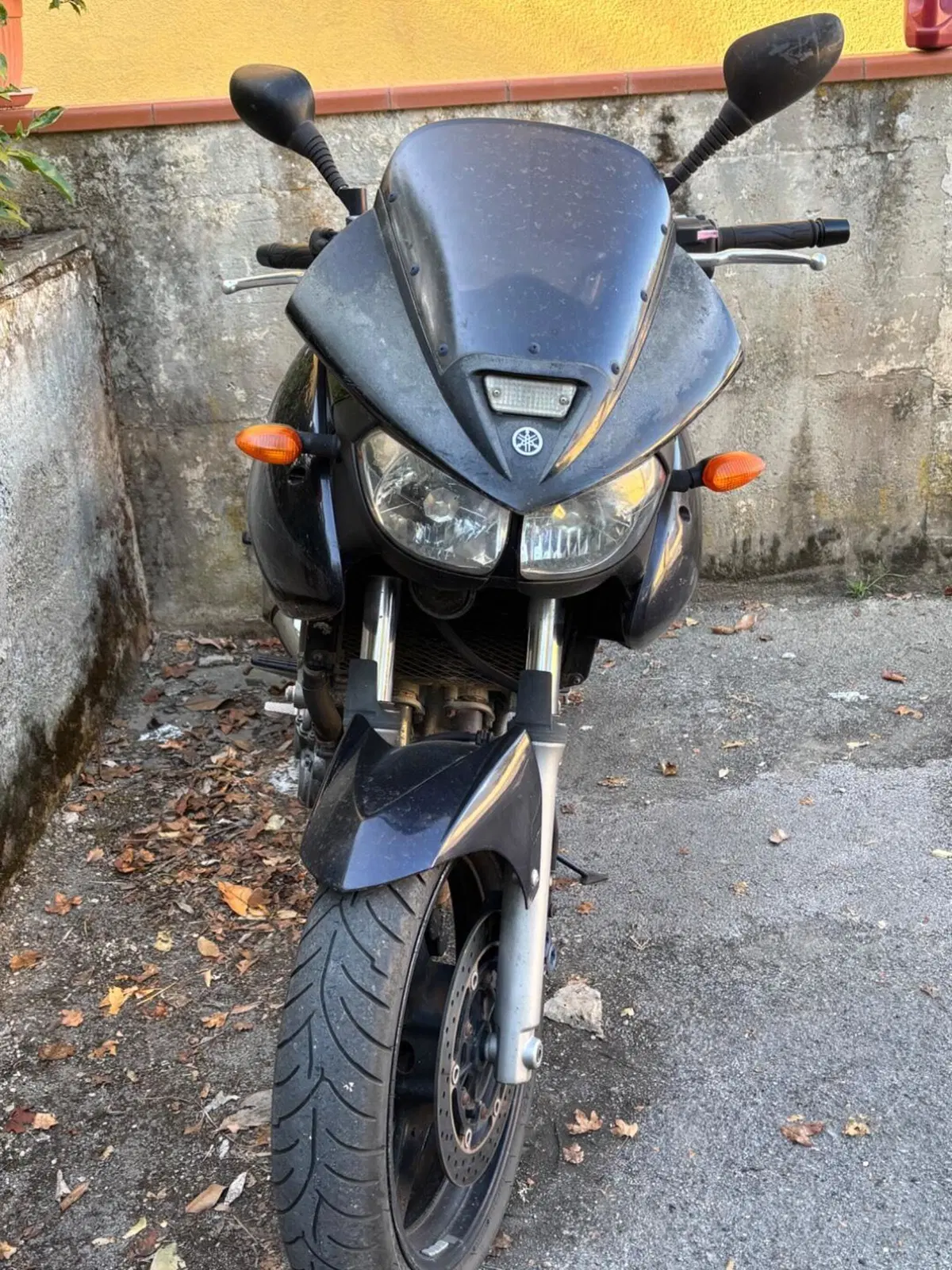 Yamaha TDM 900 (2002 - 14) (2)