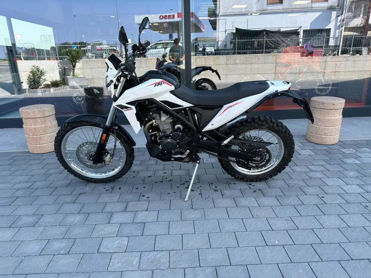 Betamotor Alp 4.0 (2024 - 26) (2)