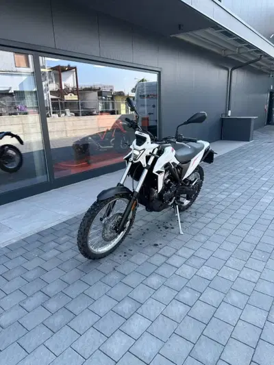Betamotor Alp 4.0 (2024 - 26) usata