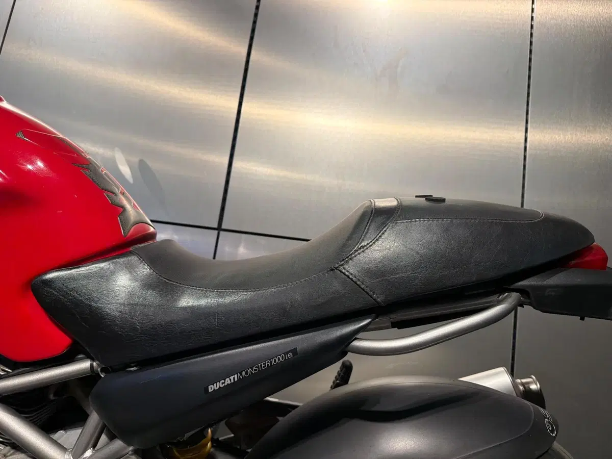 Ducati Monster 1000 DS (2003 - 05) (10)