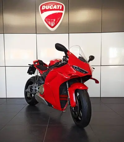Ducati Panigale V4 (2025 - 26) usata