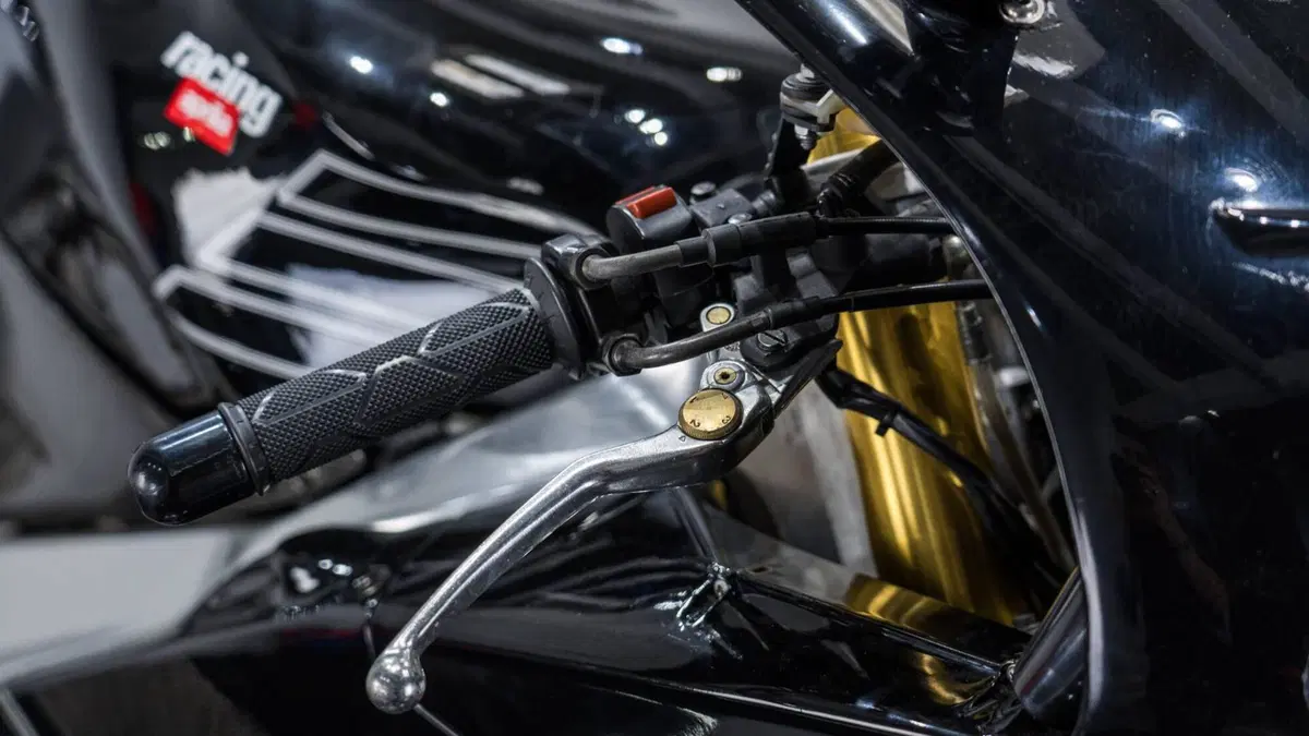 Aprilia RSV MILLE SP (2)