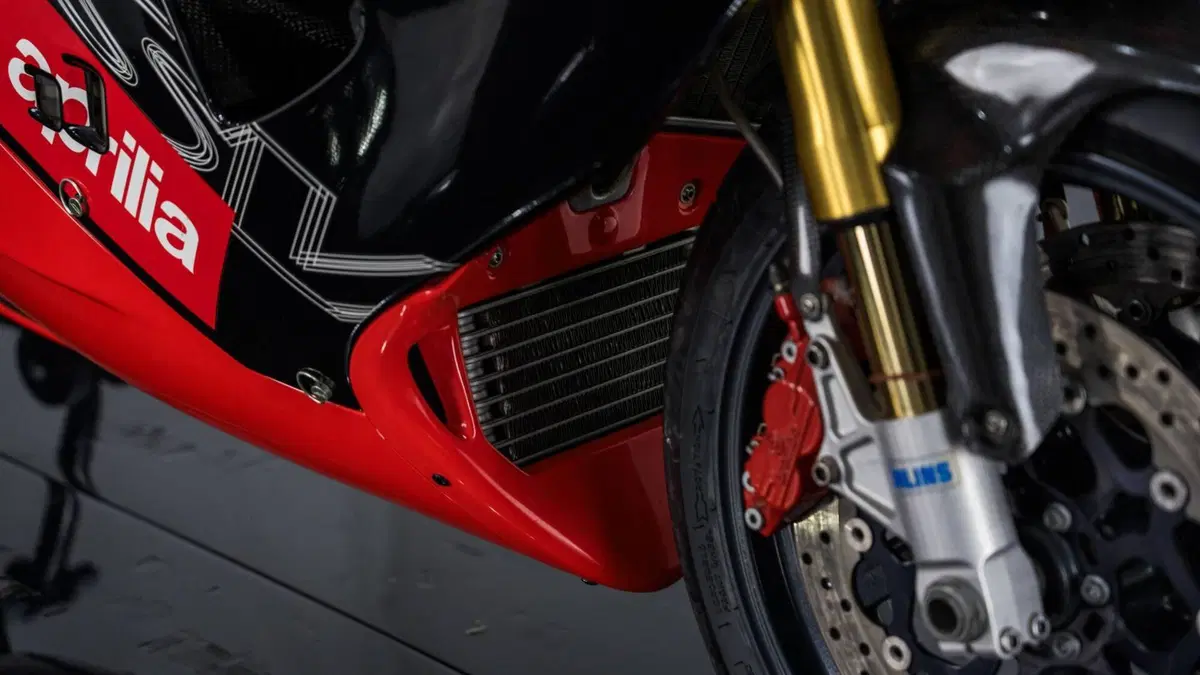 Aprilia RSV MILLE SP (11)