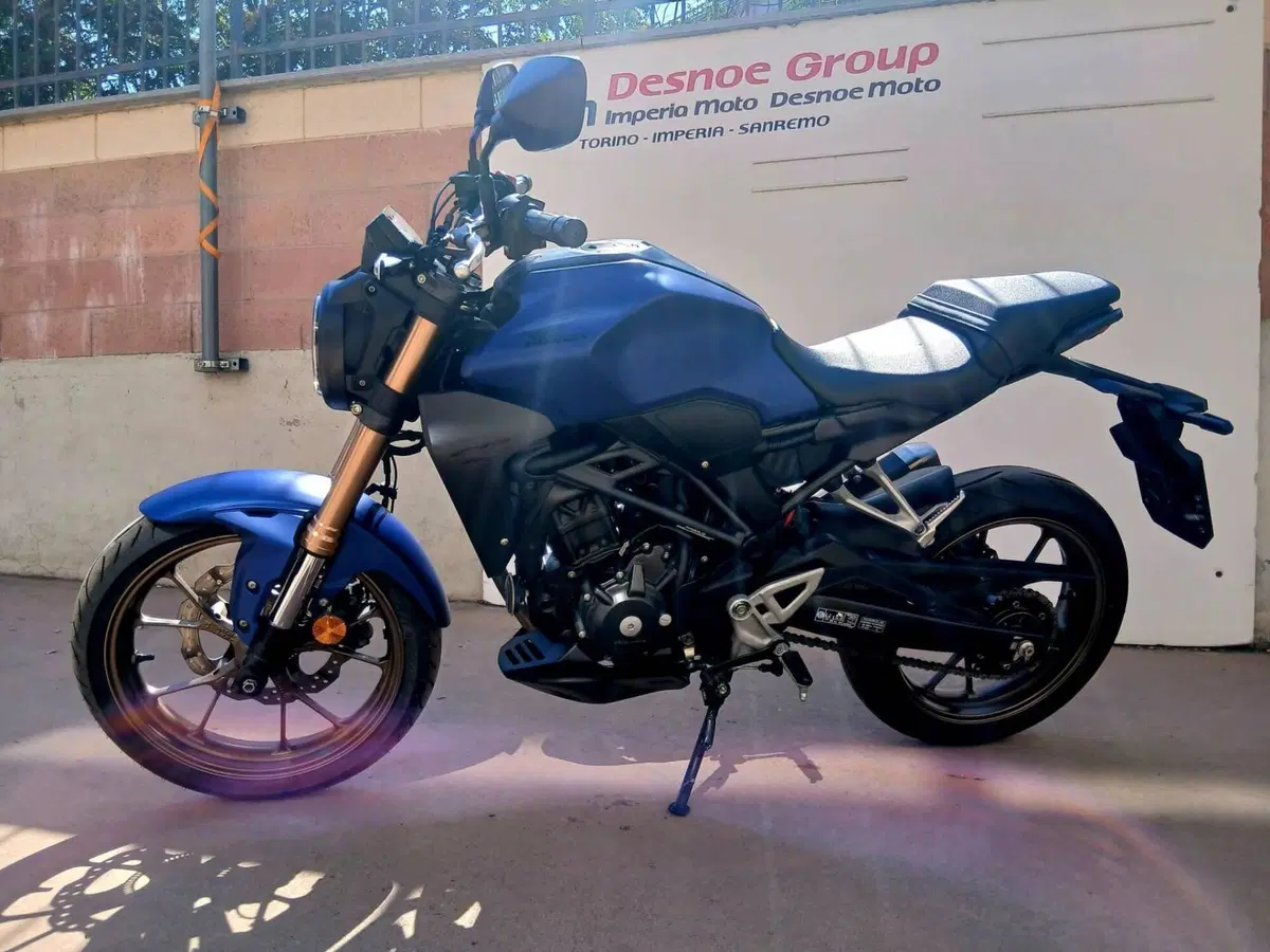 Honda CB 300 R (2022 - 26) (2)