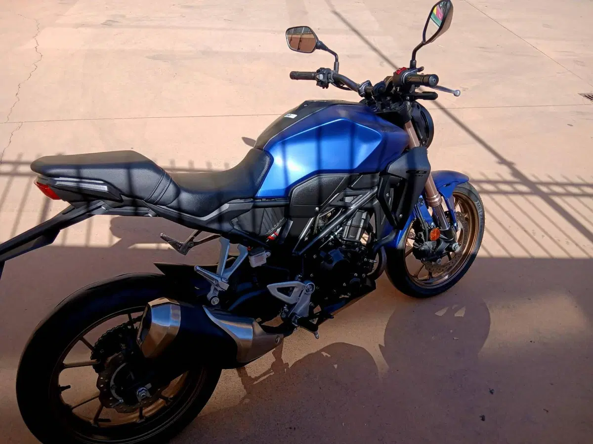 Honda CB 300 R (2022 - 26) (6)