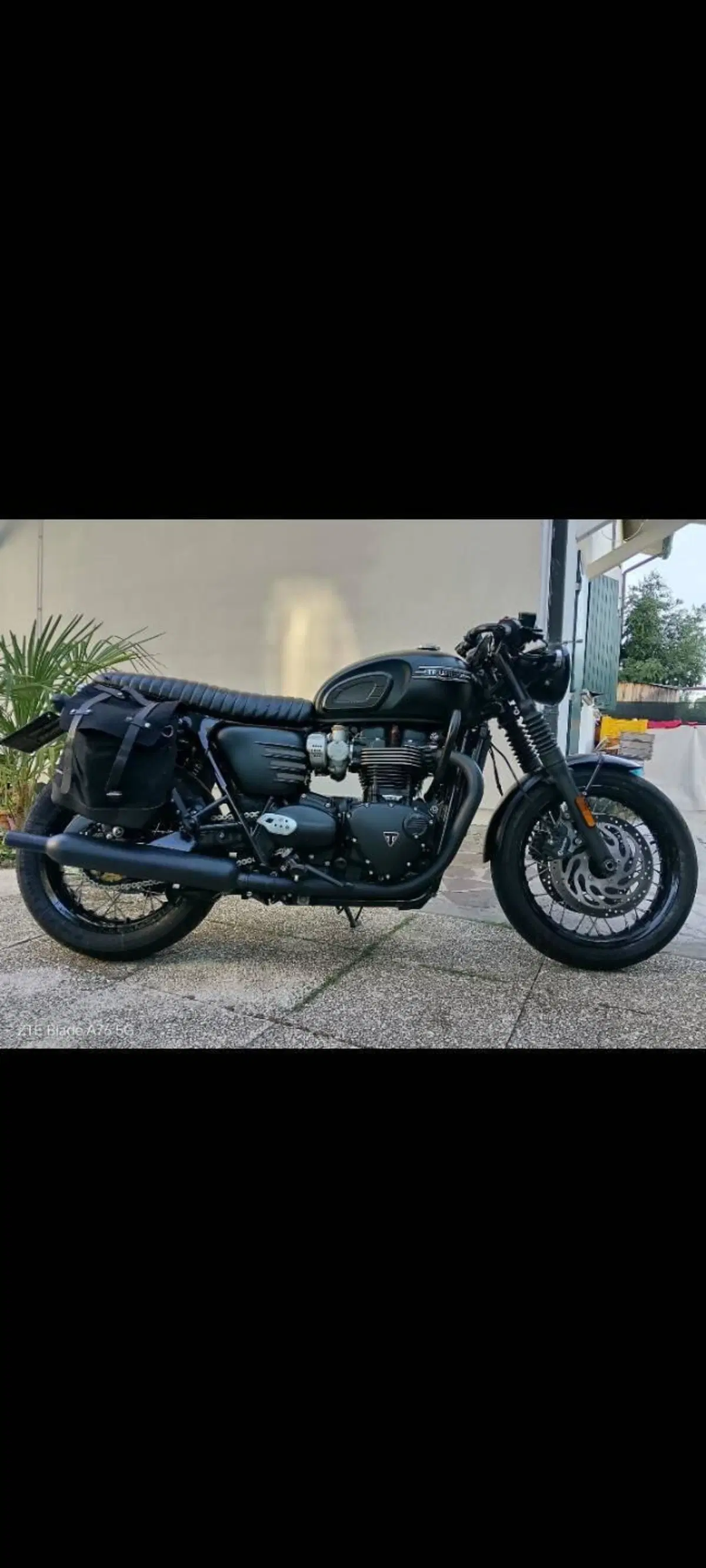Triumph Bonneville T120 Gold Line Edition (2022 - 23) (2)