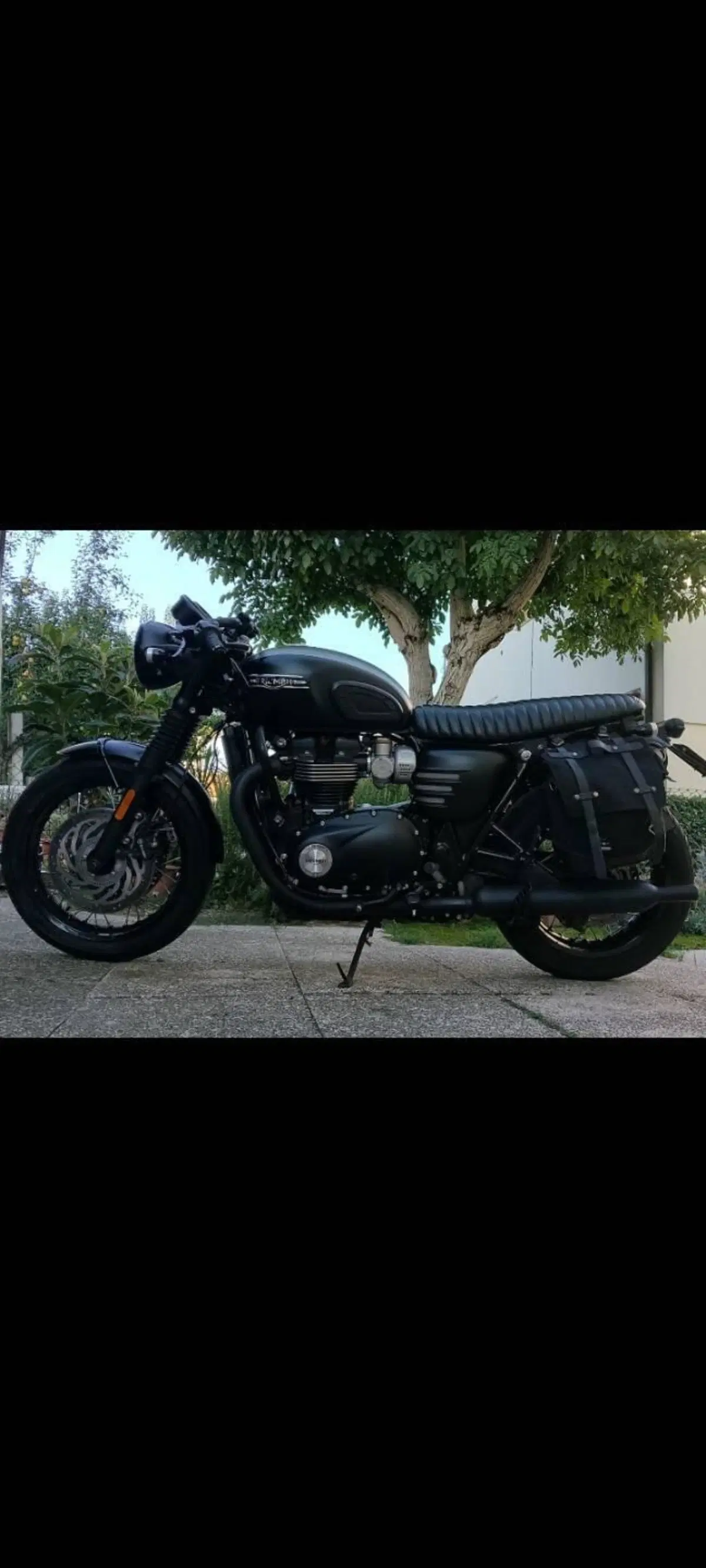 Triumph Bonneville T120 Gold Line Edition (2022 - 23) (4)