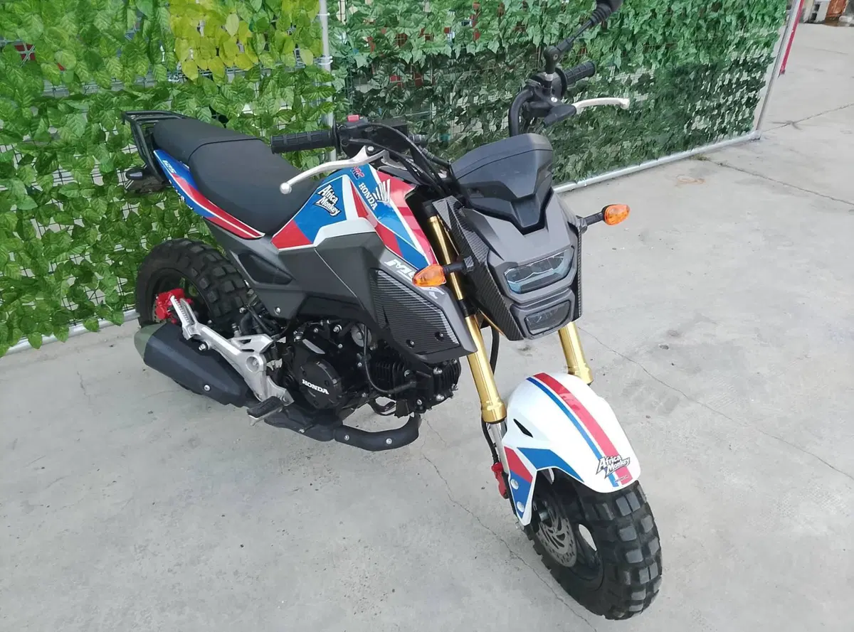 Honda MSX 125 Grom (2021 - 26)