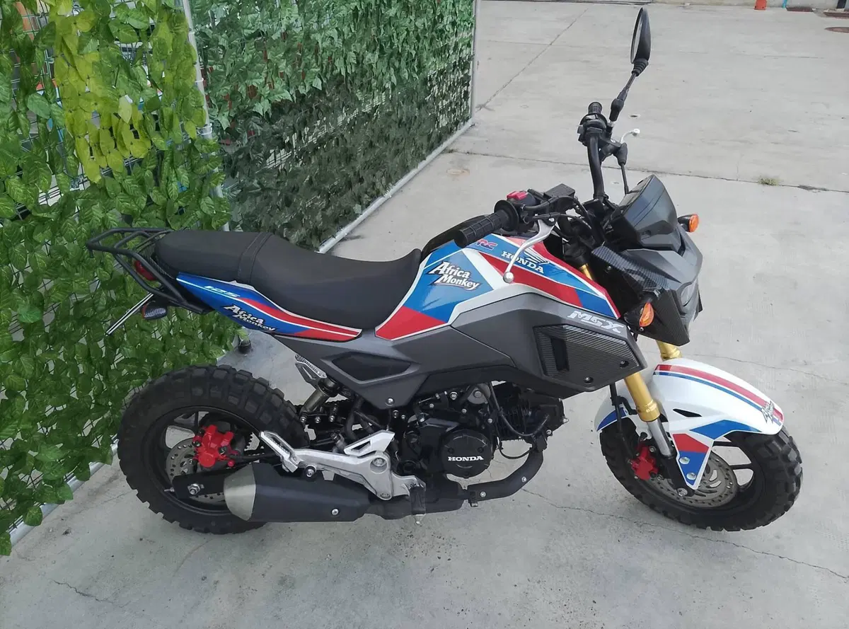 Honda MSX 125 Grom (2021 - 26) (2)