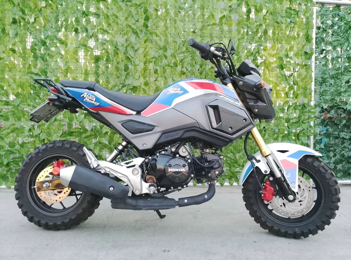 Honda MSX 125 Grom (2021 - 26) (3)