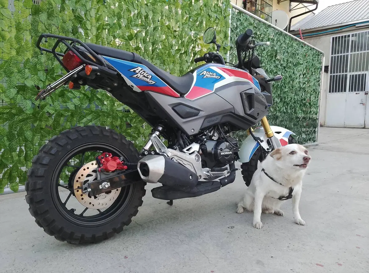 Honda MSX 125 Grom (2021 - 26) (4)
