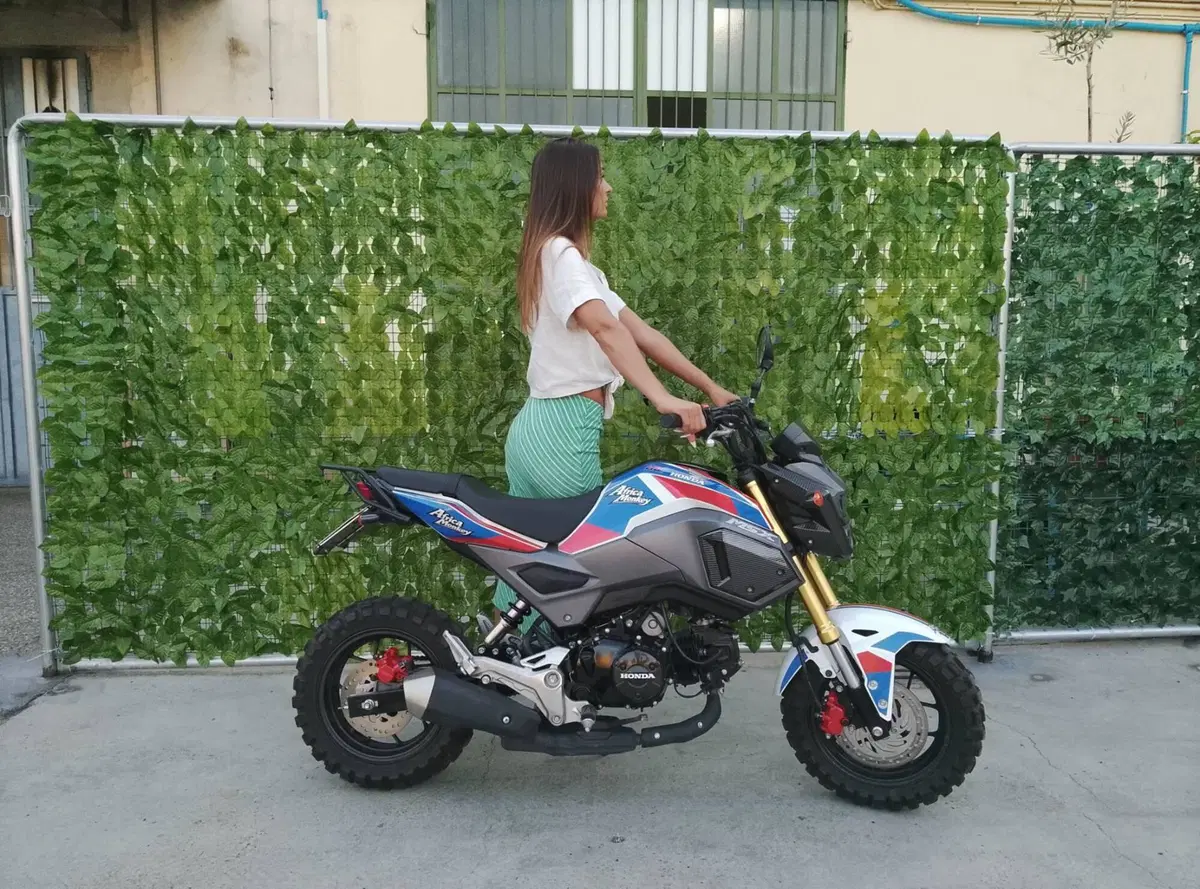 Honda MSX 125 Grom (2021 - 26) (5)