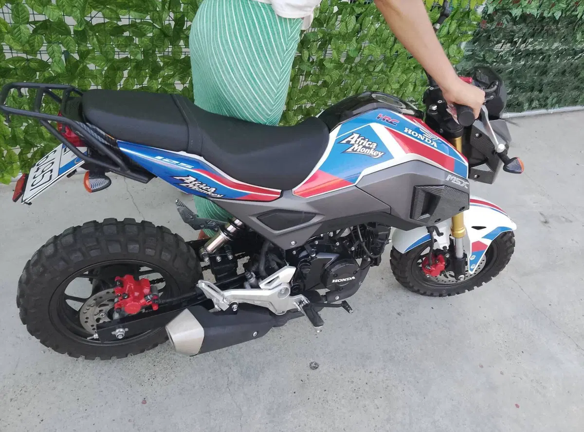 Honda MSX 125 Grom (2021 - 26) (6)