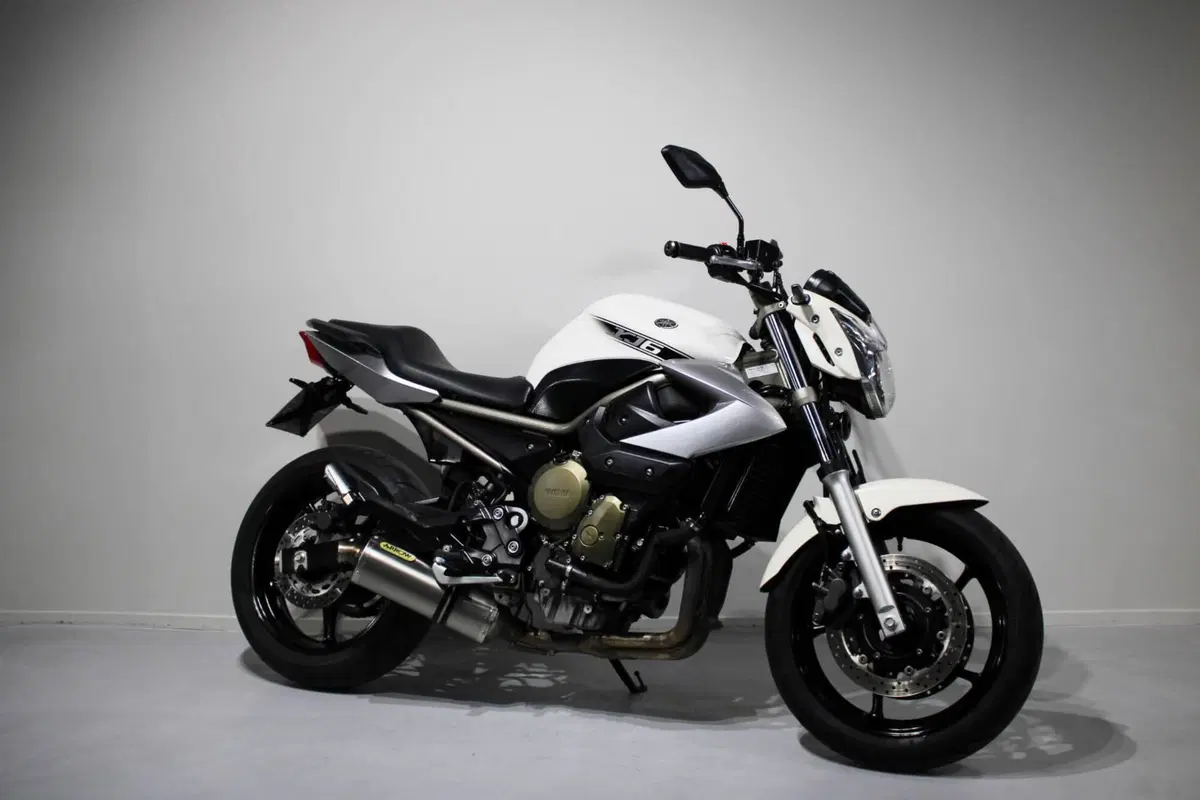 Yamaha XJ6 (2008 - 15) (2)