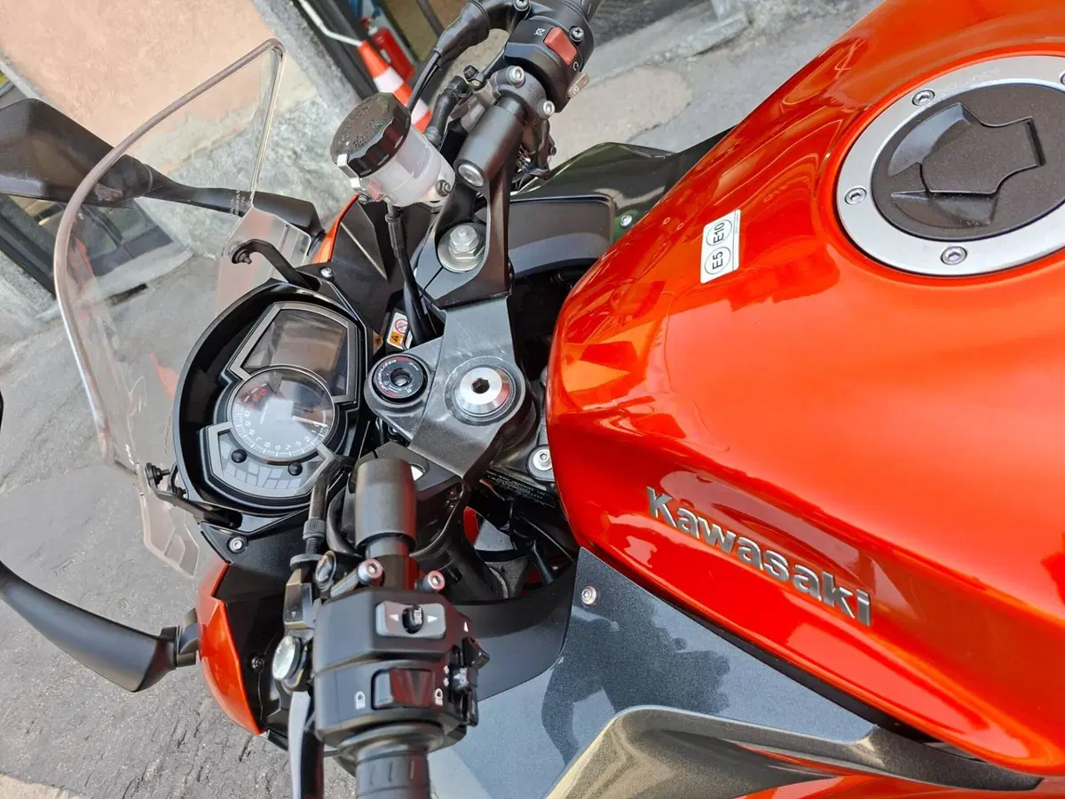 Kawasaki Z 1000 SX (2017 - 20) (3)