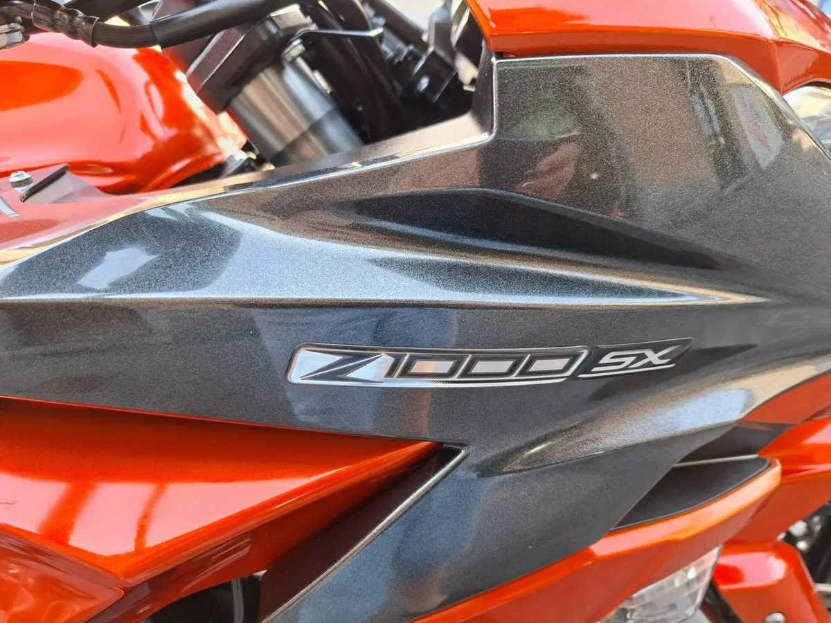 Kawasaki Z 1000 SX (2017 - 20) (4)