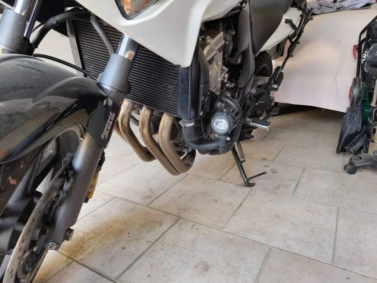 Honda CBF 600 S ABS (2012) (4)