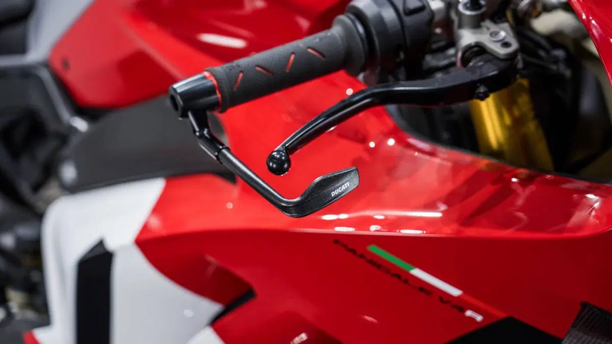 Ducati Panigale V4 R (2023 - 24) (6)