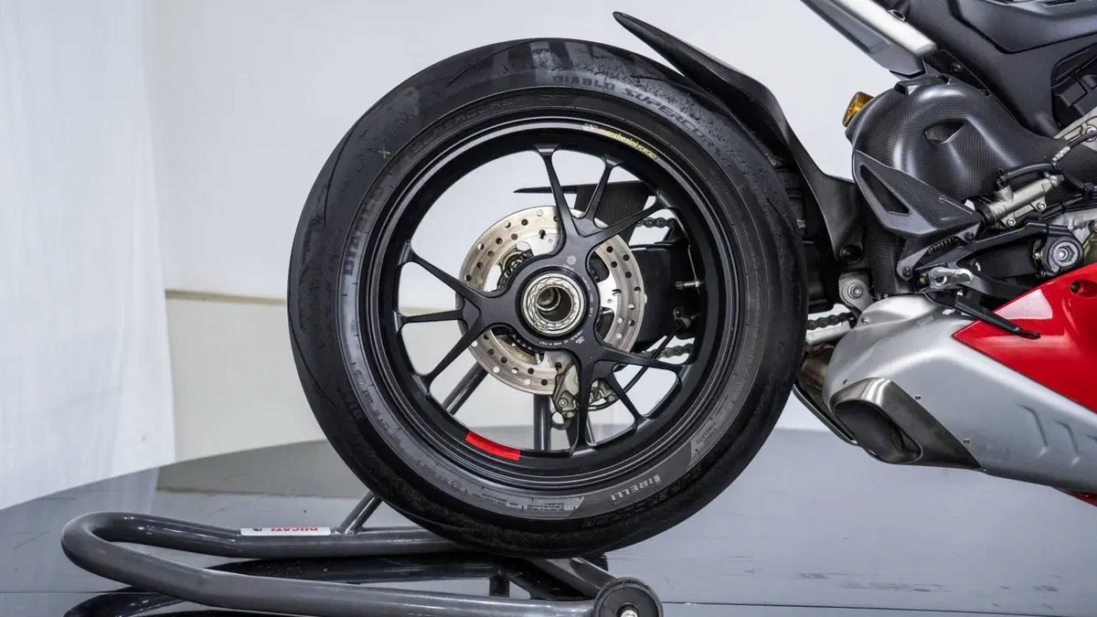 Ducati Panigale V4 R (2023 - 24) (10)
