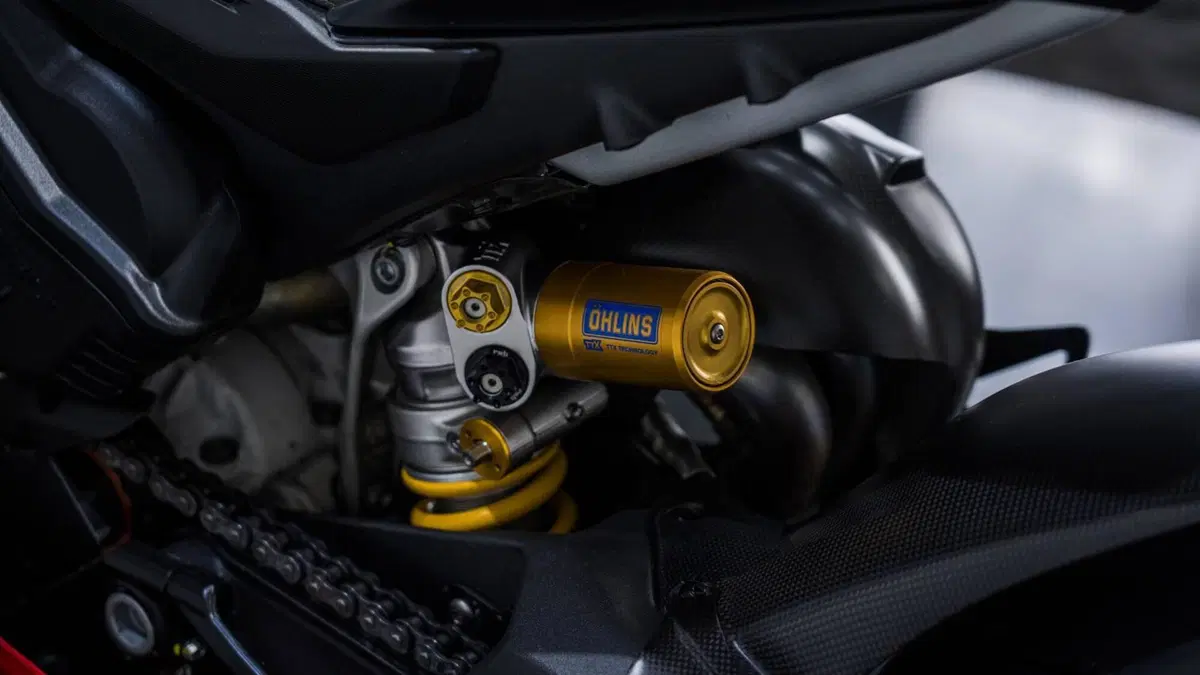 Ducati Panigale V4 R (2023 - 24) (11)