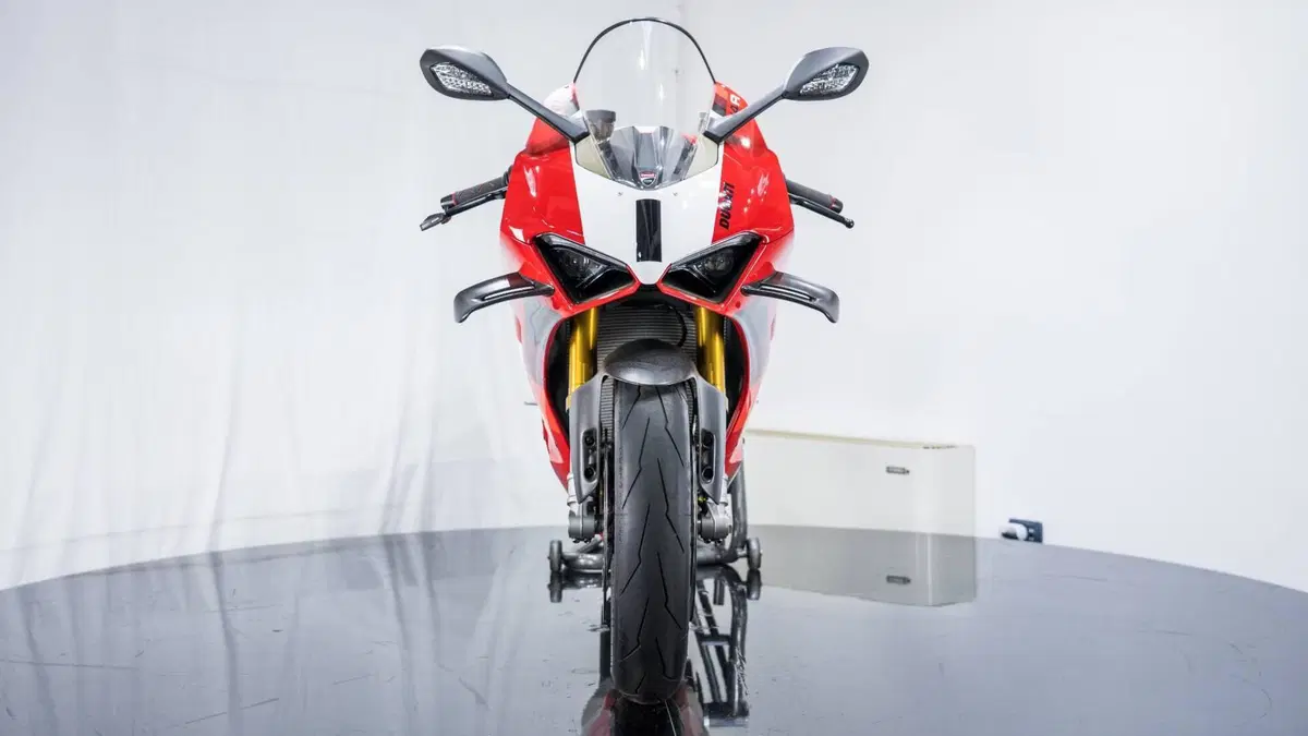 Ducati Panigale V4 R (2023 - 24) (17)