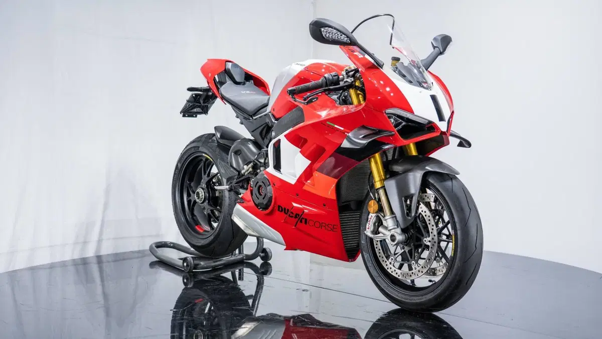 Ducati Panigale V4 R (2023 - 24) (18)