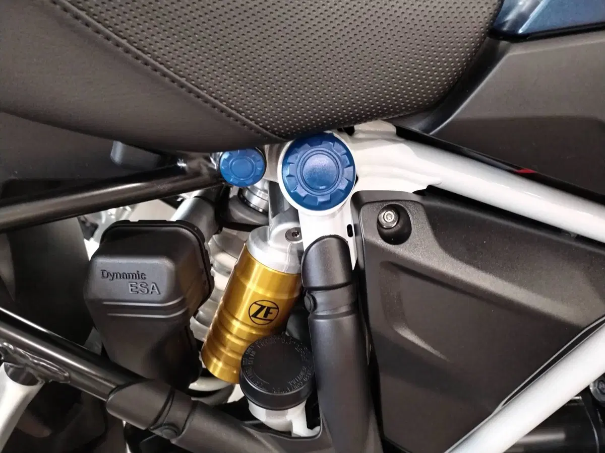 Bmw R 1250 GS (2021 - 24) (13)