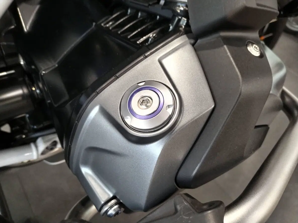 Bmw R 1250 GS (2021 - 24) (14)